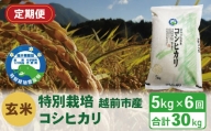 【定期便6回】（令和5年度新米 玄米）特別栽培 越前市産コシヒカリ 5kg×6回