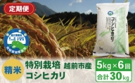 【定期便6回】（令和5年度新米 精米）特別栽培 越前市産コシヒカリ 5kg×6回