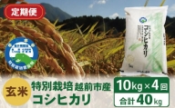 【定期便4回】（令和5年度新米 玄米）特別栽培 越前市産コシヒカリ  10kg×4回