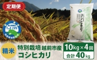 【定期便4回】（令和5年度新米 精米）特別栽培 越前市産コシヒカリ 10kg×４回