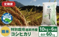 【定期便6回】（令和5年度新米 精米）特別栽培 越前市産コシヒカリ 10kg×6回