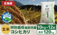【定期便12回】（令和5年度新米 玄米）特別栽培 越前市産コシヒカリ  10kg×12回