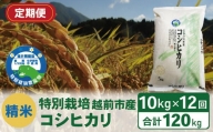 【定期便12回】（令和5年度新米 精米）特別栽培 越前市産コシヒカリ 10kg×12回