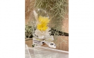 ＜黄色系＞天球bottle flowers　Msize【1307788】