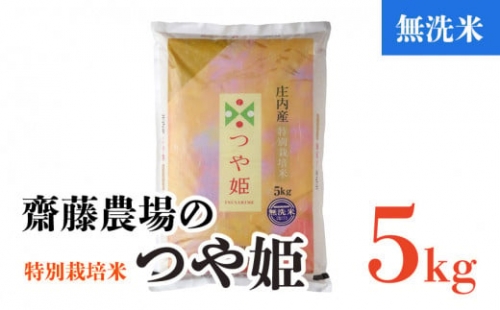Z04-009　【令和4年産】斎藤農場の特別栽培米つや姫無洗米5kg