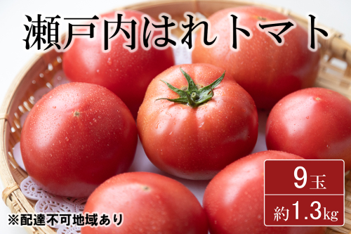 期間限定【産地直送】瀬戸内はれトマト（桃太郎トマト）9玉 約1.3kg 野菜 夏野菜 リコピン 岡山県産 サラダ 料理 緑黄色野菜  355732 - 岡山県瀬戸内市