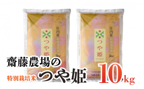 A64-001 【令和4年産】斎藤農場の特別栽培米つや姫10kg(5kg×2) 356045 - 山形県鶴岡市