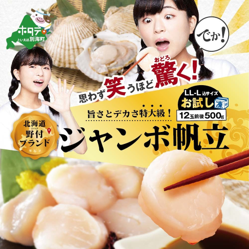 思わず笑うほど驚くお試しジャンボホタテ500g（ほたて ホタテ 帆立 貝柱 ホタテ貝柱 大玉 大粒 北海道 別海 野付 ふるさと納税） 356067 - 北海道別海町