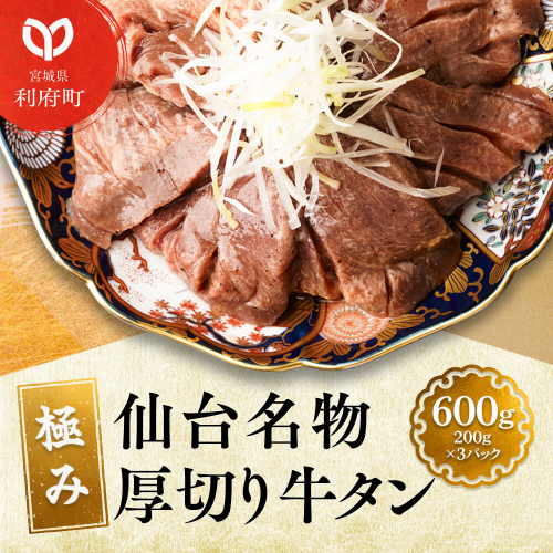 仙台名物 厚切り 牛タン 塩仕込み 600g(200g×3P) 牛たん スライス 塩味 356514 - 宮城県利府町
