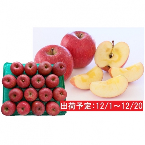 年内 津軽産 蜜入りサンふじ約5kg