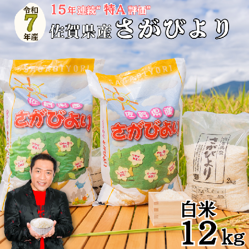 【新米】令和7年 佐賀県産 さがびより白米12kg：B380-001 356891 - 佐賀県佐賀市