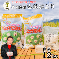 【新米】令和7年 佐賀県産 さがびより白米12kg：B380-001