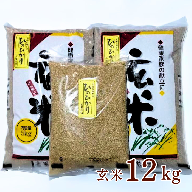 令和5年佐賀県産ヒノヒカリ玄米12kg：B160-009