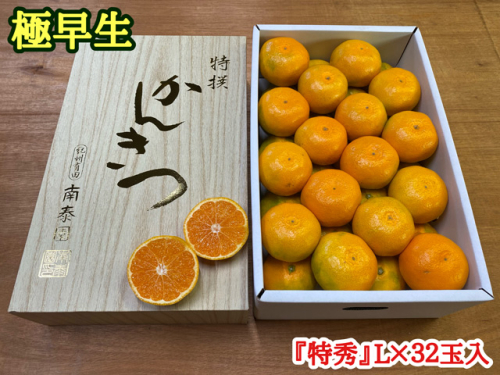 極早生 有田みかん 約4kg 『特秀』Lサイズ32玉入_ZF6000n 357191 - 和歌山県湯浅町