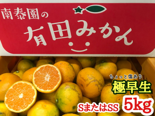 【ちょっと傷あり】極早生・有田みかん 約5kg (SまたはSSサイズ)_ZF6005n 357370 - 和歌山県湯浅町