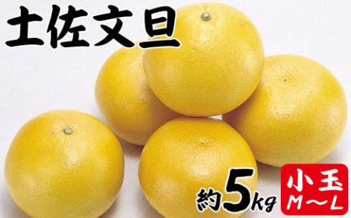 土佐文旦♪ 10kg×2箱 ぷくママ様専用 大 loja.hidreo.com.br