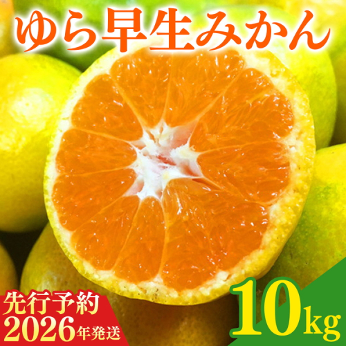 【2026年先行予約】紀州和歌山有田産ゆら早生みかん 10kg 358076 - 和歌山県美浜町