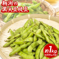 【数量限定】和歌山県産鞆渕の黒大豆枝豆 約1kg(200g×5袋入り) 紀の川市厳選館 《10月上旬-11月上旬頃出荷予定》 和歌山県 紀の川市 豆 枝豆