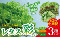 【定期便】レタス彩(いろどり)3種セット全2回（2026年9月以降順次発送） 【 ふるさと納税 人気 おすすめ ランキング レタス れたす 野菜 葉野菜 定期配送 定期便 北海道 大空町 送料無料 】 OSU002