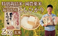 〈先行予約・新米〉減農薬米 こしひかり 2kg ／令和6年福井県産（玄米）2024年10月発送 人気品種 少量サイズ便利