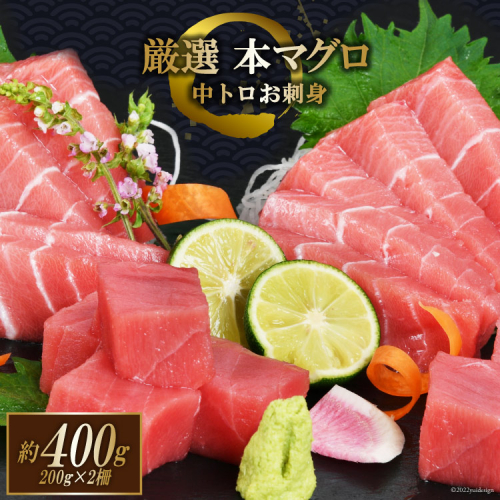 まぐろ 本マグロ背トロ 約400g(200g×2柵) [豊洋海産流通 宮城県 気仙沼市 20563371] 中トロ 刺身 冷凍 358663 - 宮城県気仙沼市