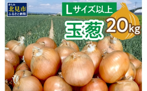 【Z9-014】玉葱 20kg（Lサイズ以上）【2022年10月中旬から順次発送】