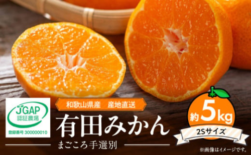 ZE6052n_和歌山県産 有田みかん 5kg 2Sサイズ【まごころ手選別】 358818 - 和歌山県湯浅町