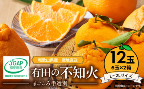 ZE6111n_【2026年先行予約】有田の不知火(しらぬひ)　6玉×2箱（L～2Lサイズ） まごころ手選別 358977 - 和歌山県湯浅町