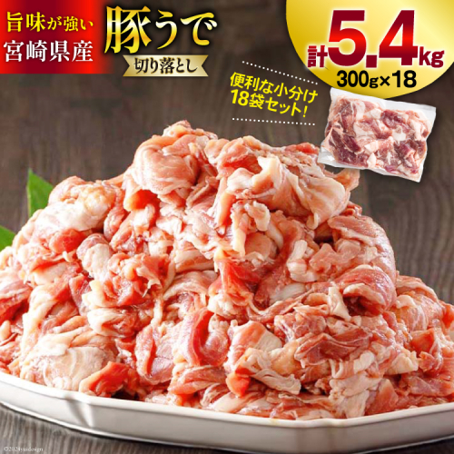 豚肉 小分け 切り落とし 300g×18袋 合計5.4kg [甲斐精肉店 宮崎県 美郷町 31as0125] 冷凍 宮崎県産 豚 ウデ 腕 切落し 真空包装 焼肉 359322 - 宮崎県美郷町