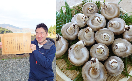 おーい菌床しいたけ2.5kg 野菜 きのこ 茸 キノコ シイタケ 椎茸  35933 - 福井県おおい町
