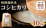 コシヒカリ（特別栽培米）10kg（新米予約9月以降発送）【1-9】