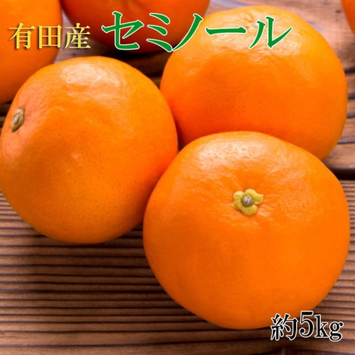 和歌山有田産セミノールオレンジ約5kg（サイズおまかせ・秀品）｜柑橘 かんきつ フルーツ 果物 産地直送
※2024年4月中旬～4月下旬頃に順次発送予定