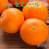 和歌山有田産セミノールオレンジ約5kg(サイズおまかせ・秀品)|柑橘 かんきつ フルーツ 果物 産地直送※2024年4月中旬〜4月下旬頃に順次発送予定