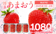 先行予約 あまおう 合計約1,080g 約270g×4パック 福岡県産 九州 イチゴ いちご 苺 果物 くだもの フルーツ 送料無料 【2025年1月～2月順次発送予定】