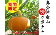 【3週間限定】【数量限定】奥会津金山赤カボチャ(２個入)