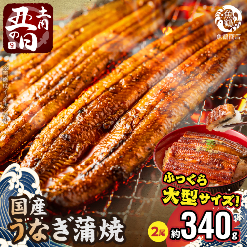 G7313_【土用の丑の日】＜10月23日までにお届け＞ふっくら柔らか 国産うなぎ蒲焼き 2尾 360799 - 和歌山県湯浅町