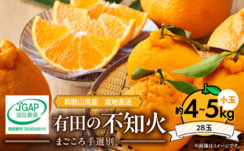 ZE6101n_【2026年先行予約】有田の不知火(しらぬひ）約4kg～5kg　小玉28玉（Sサイズ）まごころ手選別 361237 - 和歌山県湯浅町
