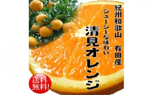 CC6111_果汁たっぷり! 清見オレンジ 10kg 有機質肥料100% 361298 - 和歌山県湯浅町