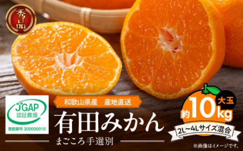 ZE6333n_【2025年先行予約】和歌山有田みかん10kg　2L～4Lサイズ混合  361305 - 和歌山県湯浅町