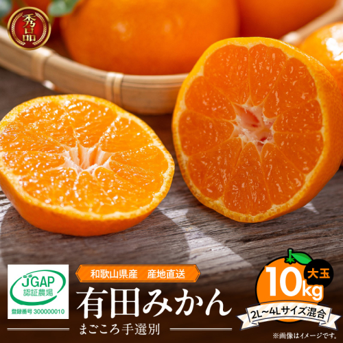 ZE6333n_【2025年先行予約】和歌山有田みかん10kg 2L~4Lサイズ混合 361305 - 和歌山県湯浅町
