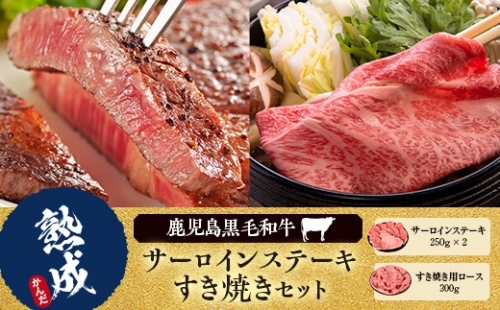 G-001 鹿児島黒毛和牛サーロインステーキ・すき焼きBセット
