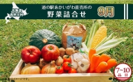 【９月発送】道の駅あかいがわ直売所の野菜詰合せ