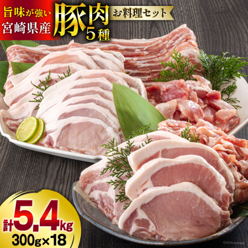 豚肉 小分け 切り落とし ロース 豚バラ スライス お料理セット 計5.4kg [甲斐精肉店 宮崎県 美郷町 31as0096] 肉 冷凍 宮崎県産 豚 ウデ 腕 切落し 詰め合わせ 真空包装 うす切り 薄切り 361848 - 宮崎県美郷町