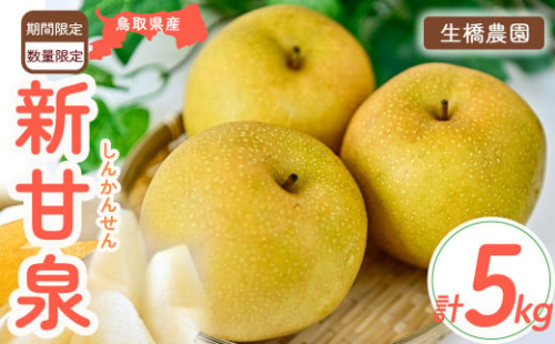 新甘泉【鳥取県産】5kg(生橋農園) 鳥取 梨 5kg 果物 フルーツ 和梨 先行予約 数量限定 新甘泉 詰め合わせ 新品種