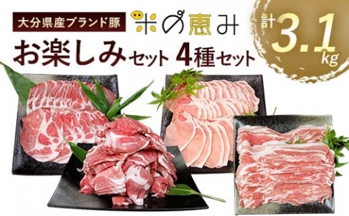 大分県産 ブランド豚 「米の恵み」お楽しみセット 計3.1kg 豚肉 小分け