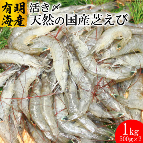 CD190 活き〆 天然小エビ 1kg（500ｇ×2パック） 361994 - 長崎県島原市