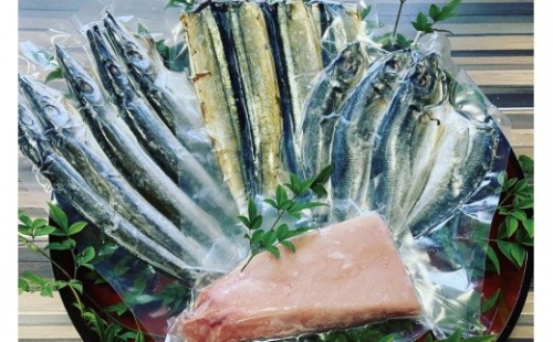 すさみ町の熟成マグロと干物のセット まぐろ0g 300g 1本 干物 9枚 あじ開き 3 さんまみりん干し 3 かます開き 3 まぐろ 鮪 アジ鯵 サンマ 秋刀魚 カマス 詰め合わせ Gyg111 和歌山県すさみ町 Au Pay ふるさと納税
