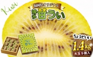 2J9【福岡県産】キウイフルーツ「博多甘うぃ」化粧箱入り約1.4kg