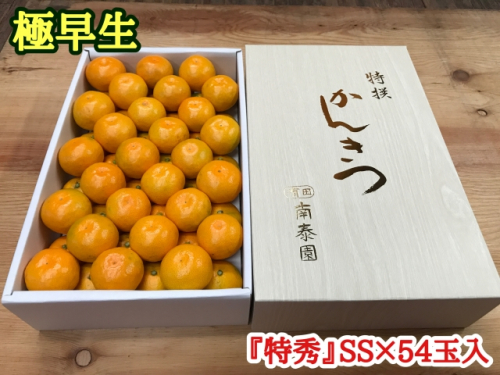 極早生・有田みかん 化粧箱 約3kg『特秀』SSサイズ54玉入_ZF6003n 362480 - 和歌山県湯浅町