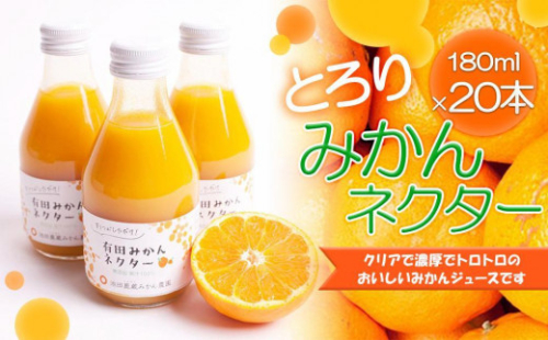 とろり　みかんネクター180ml×20本［IKE233］ 362499 - 和歌山県那智勝浦町